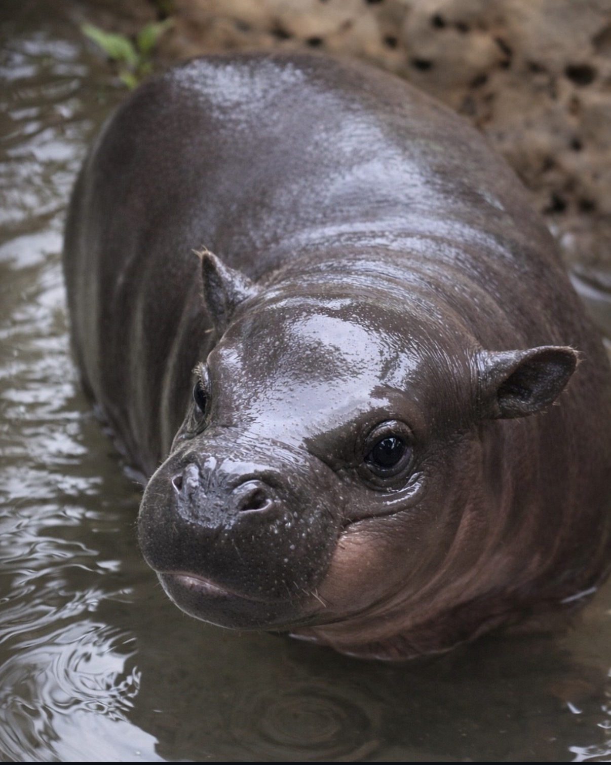 Mars in water close-up