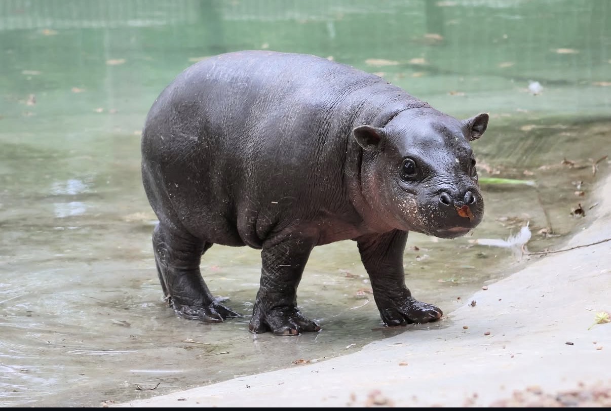 Mars walking at the park